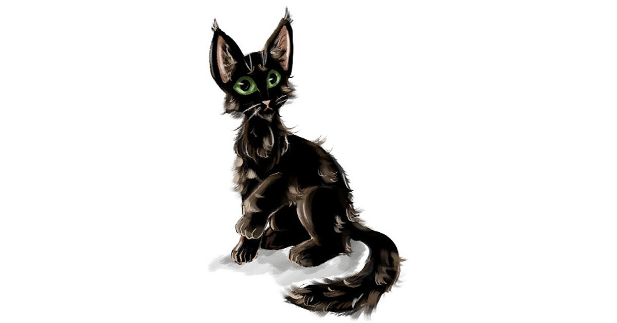 деревня, двор дома, 4 светло-серых котенка и 1 черный котенок с зелёными глазами