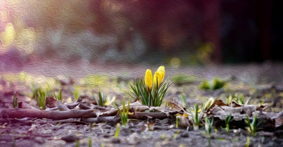 Читать сказку Весна — природа просыпается!