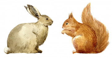 Читать сказку Как белка зайцу жизнь спасла