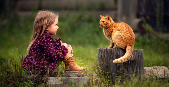 Читать сказку Доброе сердечко и рыжий кот